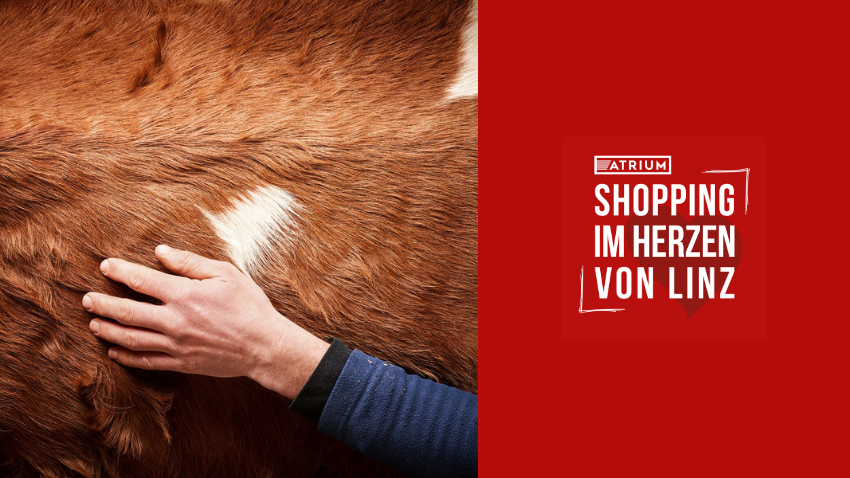 BILLA Österreich Report: Österreicher achten auf Tierwohl